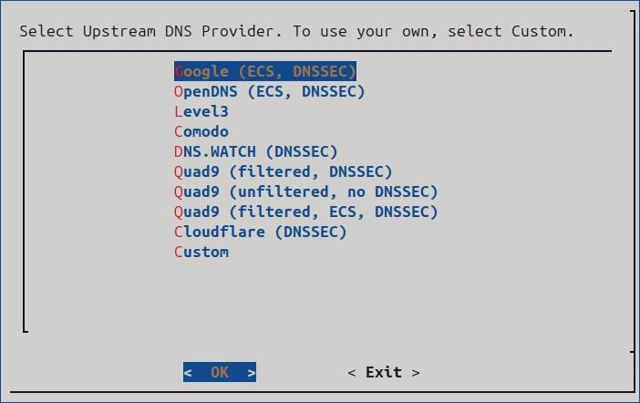 Terminal user interface showing the selection of an upstream DNS provider in the Pi-hole installer.
