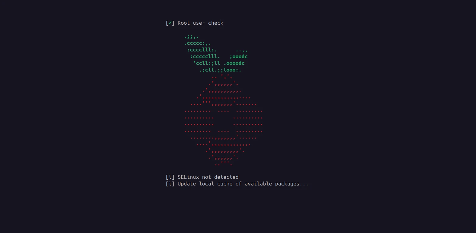 Terminal window displaying the Pi-hole ASCII art logo during the initial command-line installation process.