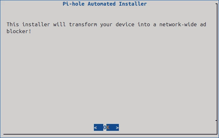 Terminal user interface showing the start of installer wizard.